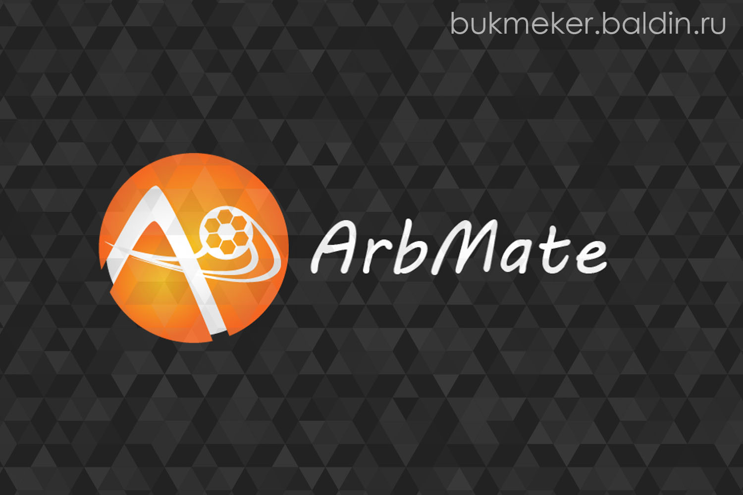 ArbMate — обзор монитора вилок