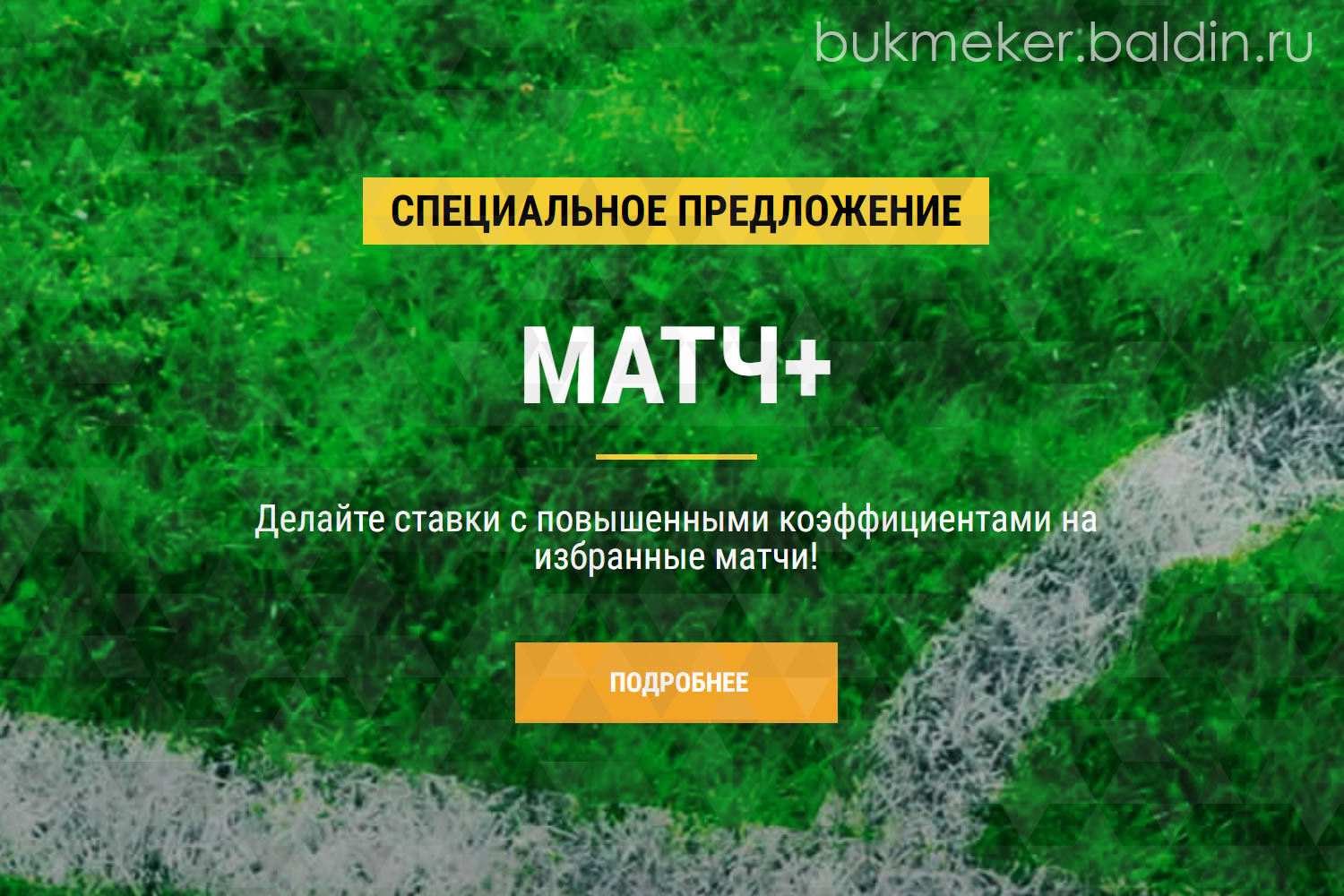 Бонус