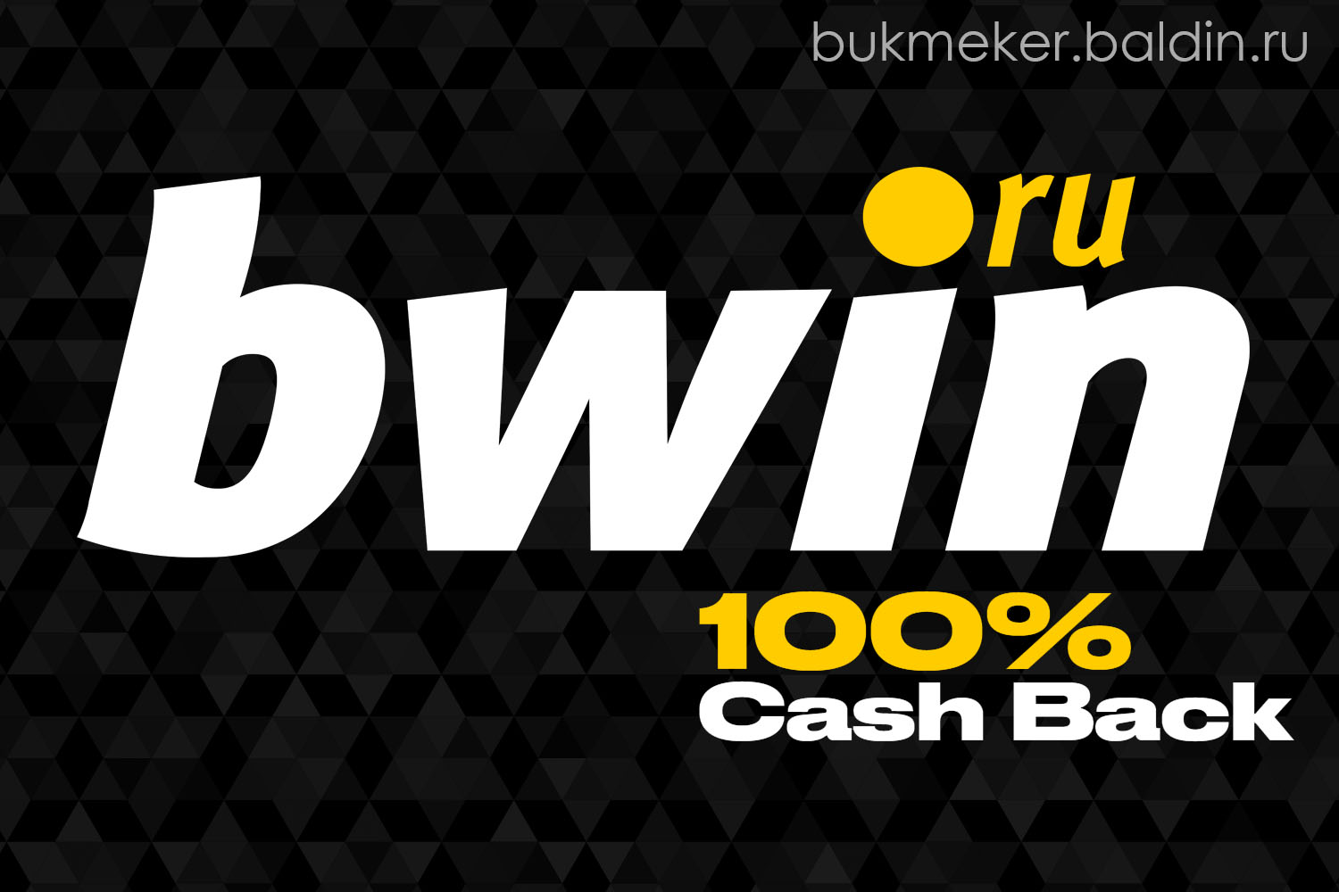 [Закрыт] Обзор букмекерской конторы Бвин (Bwin.ru)
