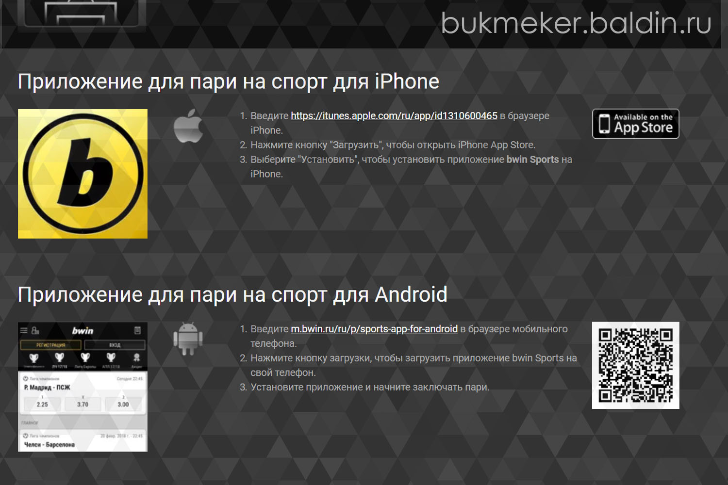 Мобильная версия Обзор букмекерской конторы Бвин (Bwin.ru)