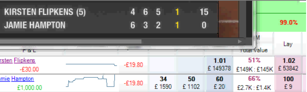 Флипкенс против Хэмптон (Flipkens vs Hampton)