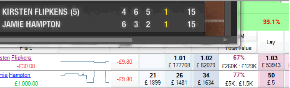 Флипкенс против Хэмптон (Flipkens vs Hampton)