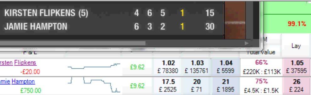Флипкенс против Хэмптон (Flipkens vs Hampton)
