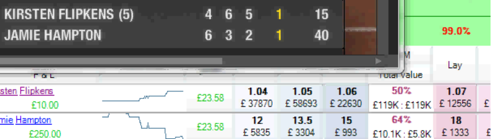 Флипкенс против Хэмптон (Flipkens vs Hampton)