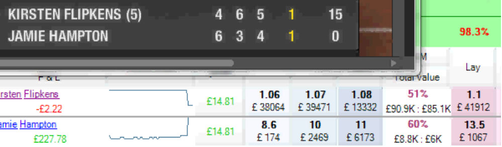 Флипкенс против Хэмптон (Flipkens vs Hampton)
