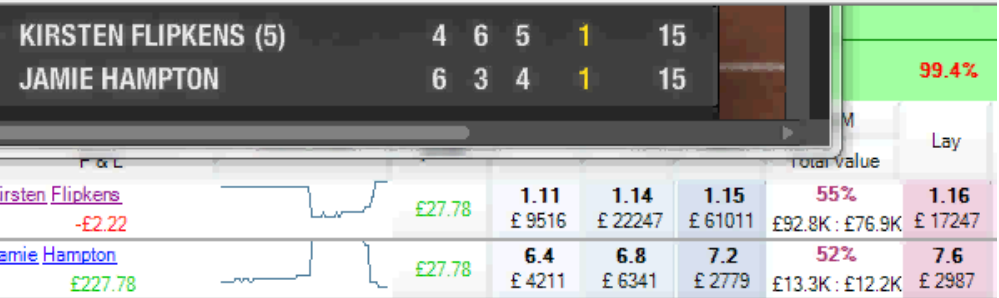Флипкенс против Хэмптон (Flipkens vs Hampton)