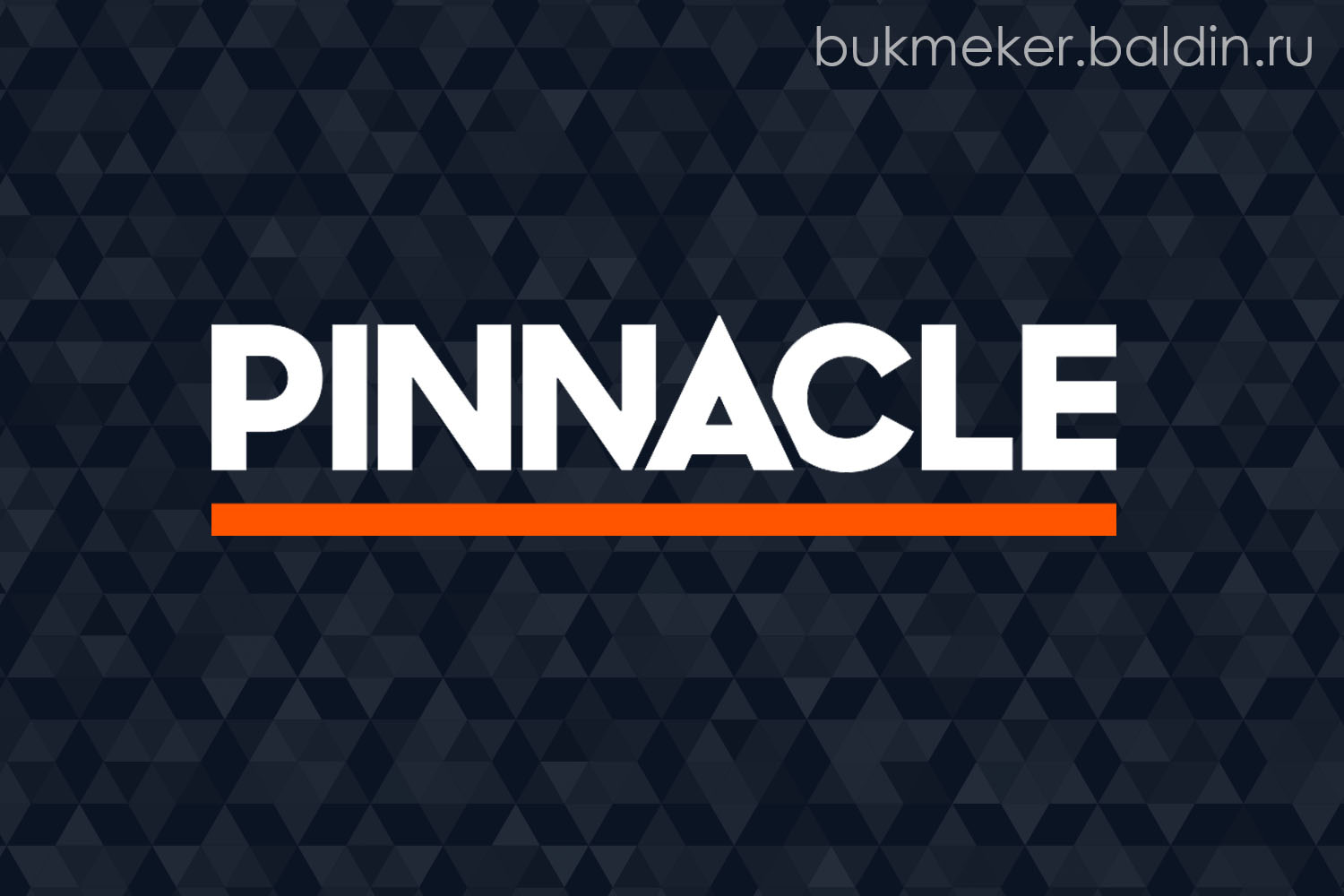 Обзор букмекерской конторы Pinnacle (pinnacle.com)