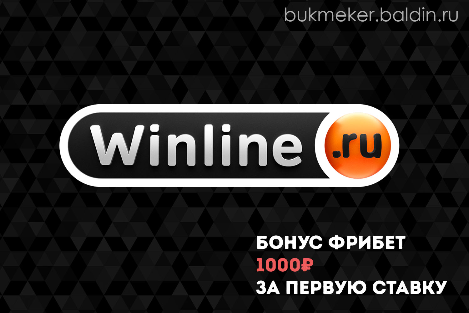 Обзор букмекерской конторы Винлайн (winline.ru)